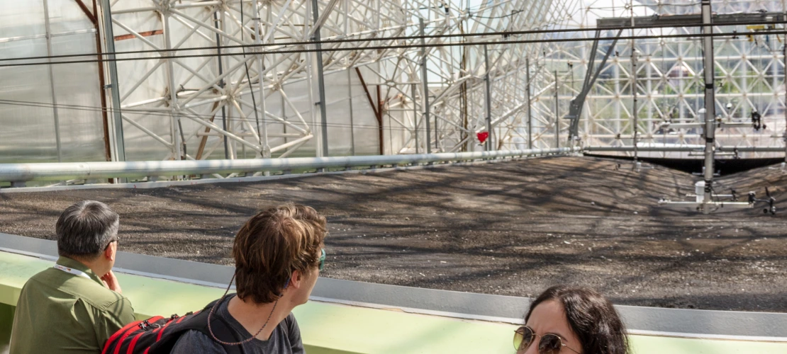 Pictures from CMWR at Biosphere 2.